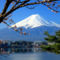 mt-fuji-day-trip-including-lake-ashi-sightseeing-cruise-from-tokyo-in-tokyo-115676
