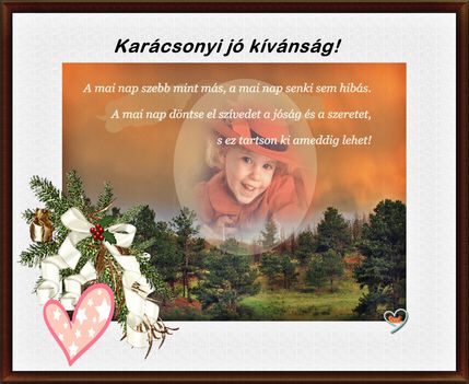 Karácsonyi kívánság.