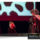 24_karacsonyi_weryus_musical_gala_odry_szinpad_1898530_5524_t