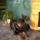 Mindenkinek_boldog_karacsonyt__kivanunk_ilsa_1898087_6568_t