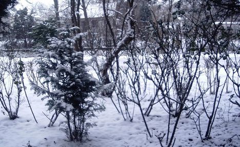 2014. decemberi első hó