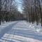 Gyönyörű havas út...(felsofokon.hu)