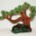 Bonsai_2_1809549_8374_t