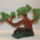 Bonsai_4_1809530_2513_t