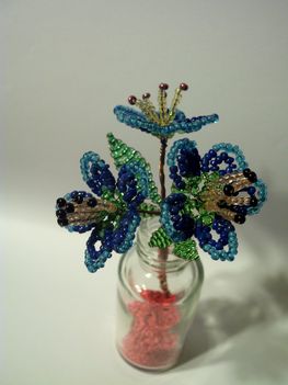 pici kék virág