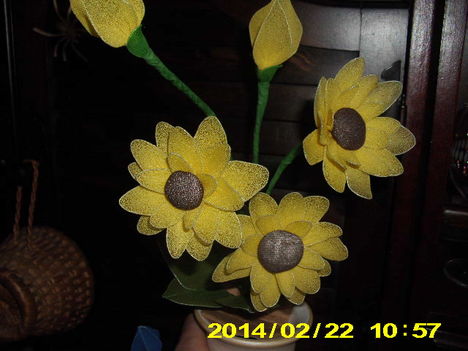 Sárga virágom.
