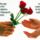 Boldogsag12_1911264_8019_t