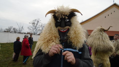 Busók