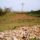 Testaccio___cserephegy_1911916_5419_t