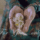 Cexgpf5i20flulwribtueoeos35eaybogohlyeo95spth2e4a_o_zq_1912974_3788_t