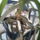 20150304_____2_1913987_8736_t