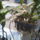 20150304_____3_1913988_6287_t