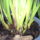 20150304_eledezunk__1913975_9806_t