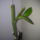 20150305__tavaszi_indulas_2_1913979_2658_t