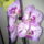 20150307_1_1914243_4187_t