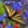 Az_ur_bekeje_legyen_velunk_1915063_8753_t
