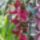 Dscf1845_1915410_8482_t