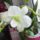 Dscf1864_1915432_6518_t