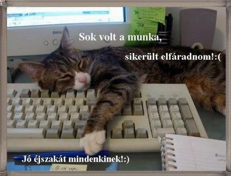 jó éjt