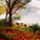 Taj_7_1915821_4750_t