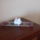 P1050108_galamb_1916936_6359_t