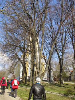 a Burok - völgyben