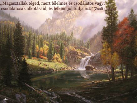 IGE  A  MAI  NAPRA