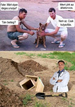 Kutyás szóvicc!