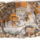 A_capitolium_dombja_az_okorban_1901037_9133_t