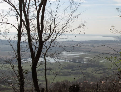 BADACSONYI PANORÁMA A BALATONRA KILÁTÁSSAL