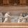 Basilica_s_pietro_relief_under_balcon_1910144_9947_t