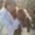 En_5_1091223_3852_t