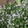 Img_3066_191139_56638_t