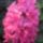 Img_3078-001_191146_78331_t