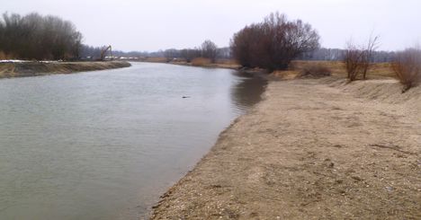 Mosoni-Duna a Halászi Úgói partszakasznál, 2015. február 14.-én 1