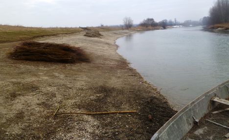 Mosoni-Duna a Halászi Úgói partszakasznál, 2015. február 14.-én 2