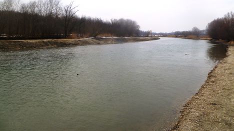 Mosoni-Duna a Halászi Úgói partszakasznál, 2015. február 14.-én 5