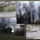 Tata_433_1091916_9688_t