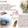 Aldas_bekesseg-001_1921359_4932_t