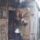Benceden_1921404_9303_t