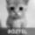 Kave_1922953_3402_t