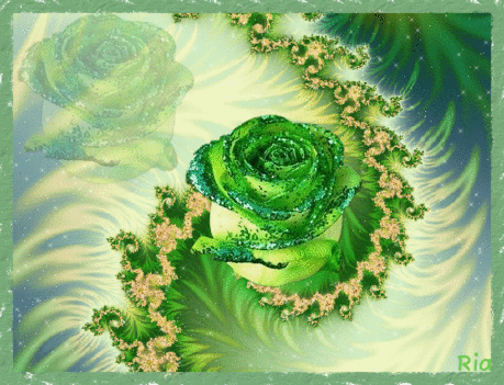 mozgó rózsa kép