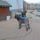 Tapsi_es_mogotte_topszi_1922684_4243_t