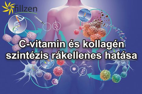 C vitamin kollagén rák ellen