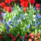 1436-a-keukenhof-10-04-15-13-31-14