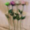 hosszúszárú rózsák