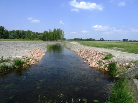 Darnózseli, Szentkúti csatorna Mikotai zsilip alatti szakasza, 2015. május 19.-én