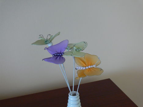 P1050157 Pillangók