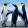 Penguins_1902749_3527_t