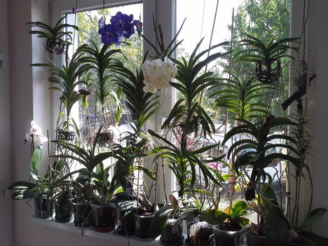 20150530 Vanda csapat 